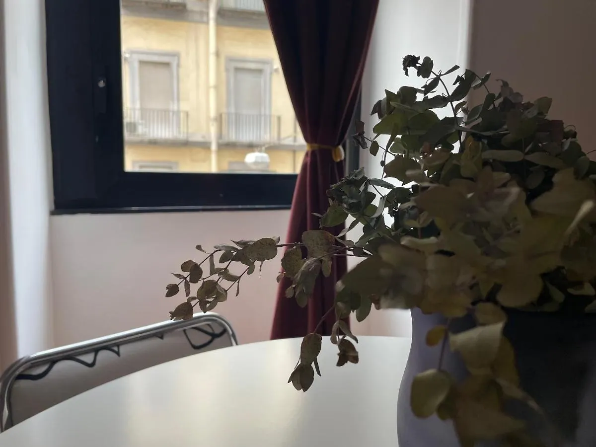 La Finestra Sul Corso Apartment Naples